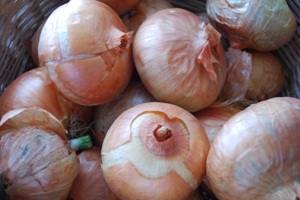 Kraken рабочее зеркало onion