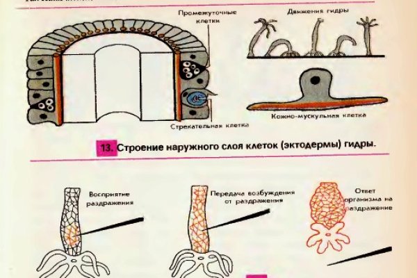 Не зачисляются деньги на кракен